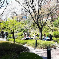 수묵표현 야외수업