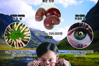 <조형연구>,이기림,'햇살동산배양원',digital,594x841(mm)_2020