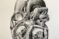 <기초소묘>,김주희,'심장',연필_394x545mm