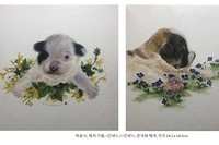 박윤서
