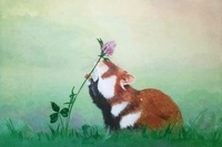 <채색기법>, 이가연, 향기, 장지에 채색, 45.5×38.0cm